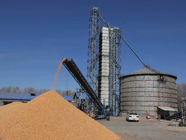 燒煤改燒秸稈大包直燃熱風(fēng)爐，烘干成本省一半