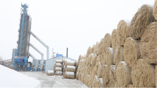 煤炭價格高，烘糧利潤低，吉林大安市500噸糧食烘干塔改用秸稈大包直燃鍋爐，每天省3萬